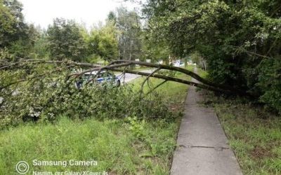 Keď je cesta “zarúbaná”…